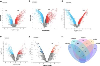 Microarray meta-analysis reveals IL6 and p38β/MAPK11 as potential targets of hsa-miR-124 in endothelial progenitor cells: Implications for stent re-endothelization in diabetic patients